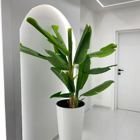 Apartment Rai