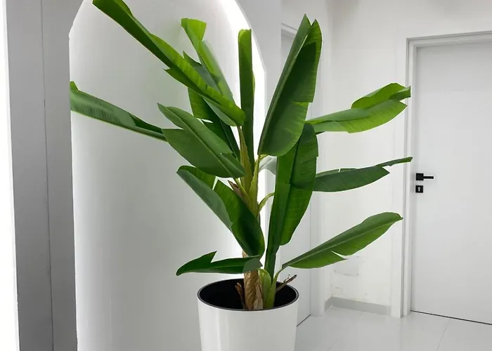 Appartement Rai